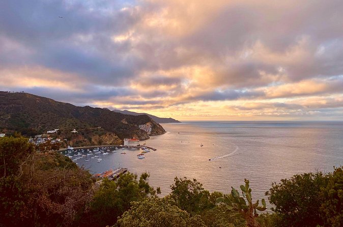 Walking History Tour on Catalina Island - Is $40 a fair price?