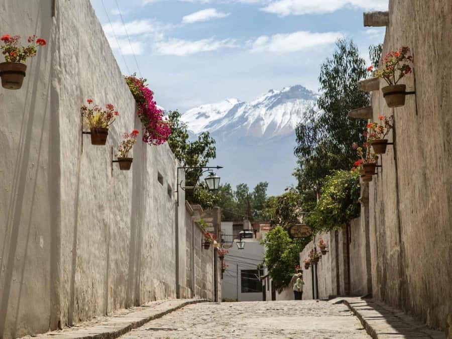Walking tour in the Historic Center of Arequipa - Mundo Alpaca changes the rhythm