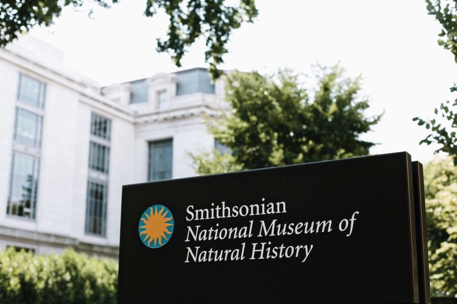 Washington DC: National Museum of Natural History Tour - Mummies, animals, and the human side of natural history