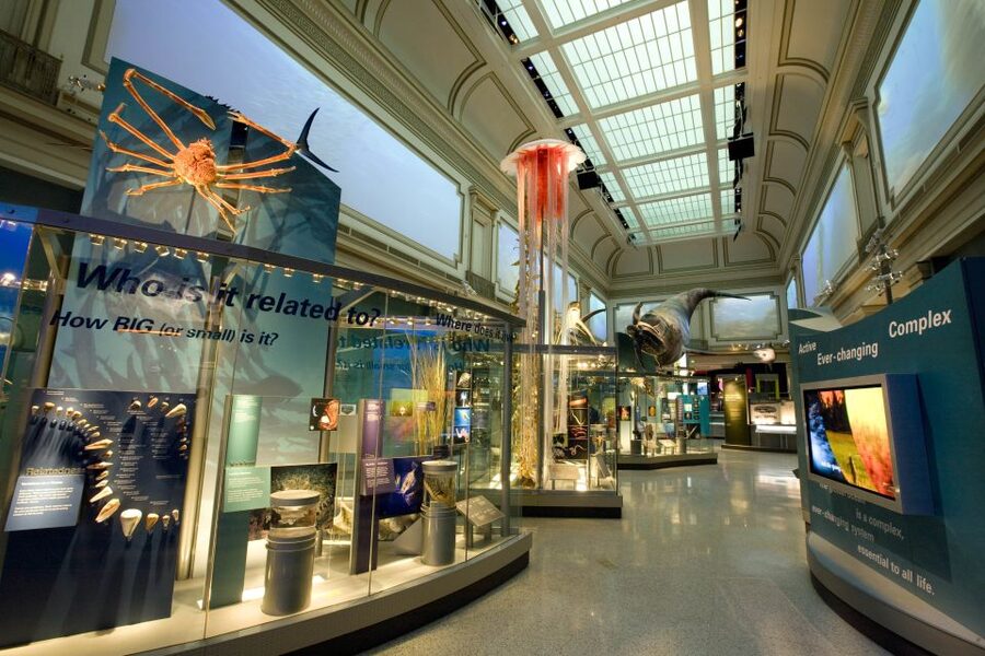 Washington DC: National Museum of Natural History Tour - Is $86 good value for 2.5 hours?