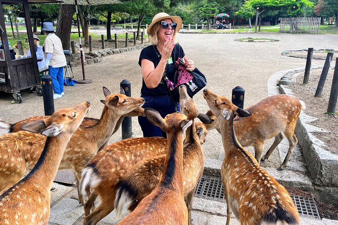 World Heritage Kyoto & Nara Uji Authentic Matcha Experience - What makes this day trip worth considering