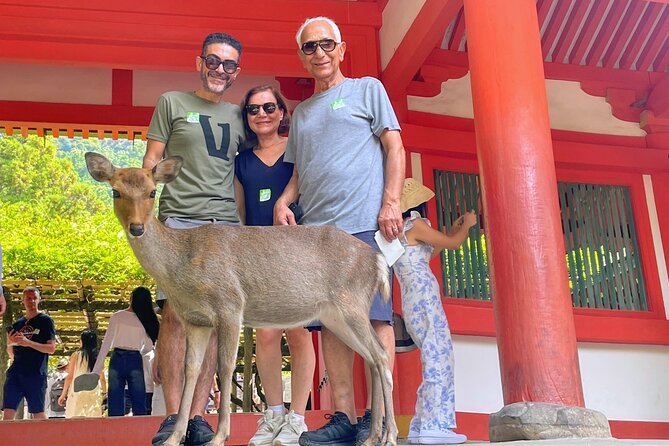 World Heritage Kyoto & Nara Uji Authentic Matcha Experience - What the $129.25 price really covers