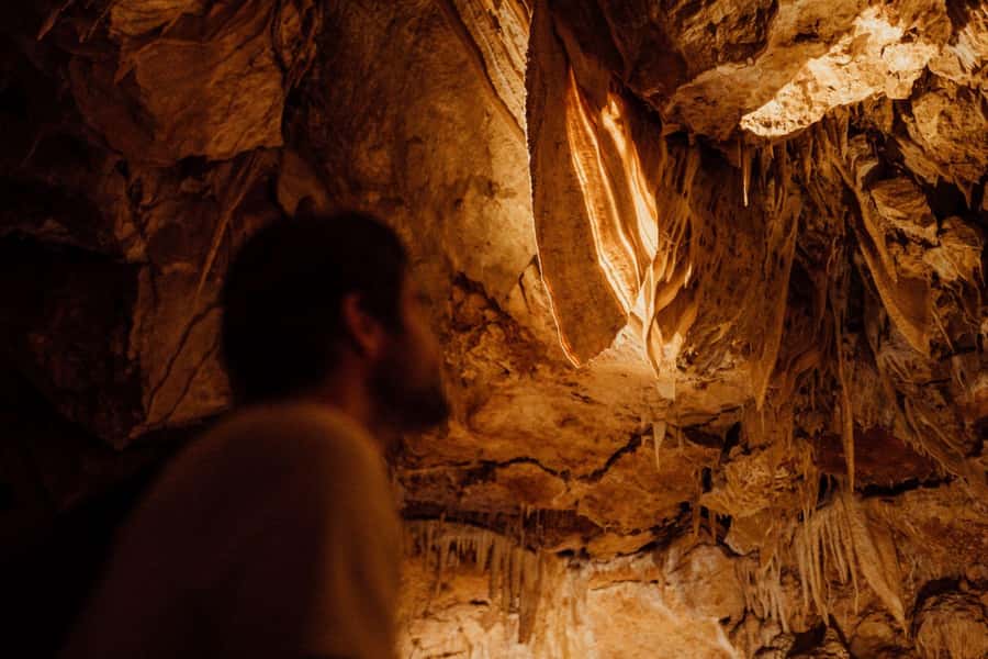 Yallingup: Ngilgi Cave Ancient Lands Experience - How the $22 price works out