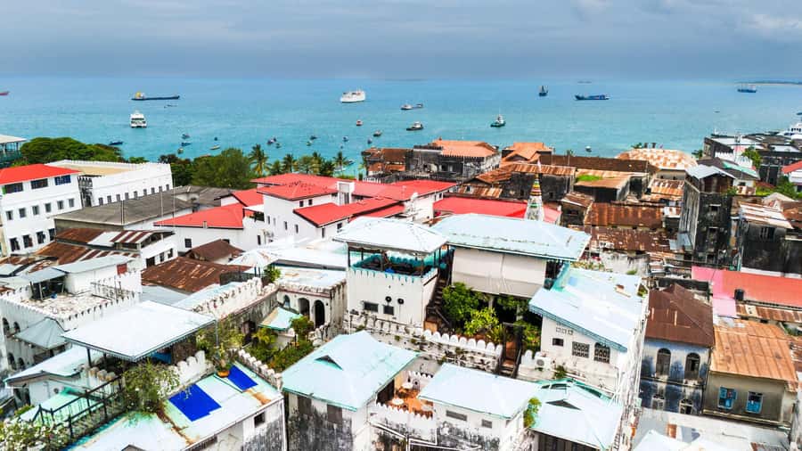 Zanzibar: Stone Town Historical Cultural Walking Guided Tour - What the $21 price really buys you